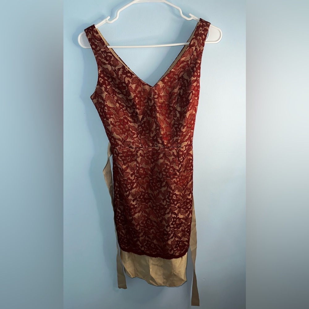 The Limited Lace Cocktail Ribbon Belt Term Dress Size 0